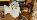 Details mit Bild