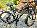 Details mit Bild