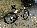 Details mit Bild