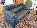 Details mit Bild