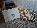 Details mit Bild