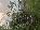 Details mit Bild